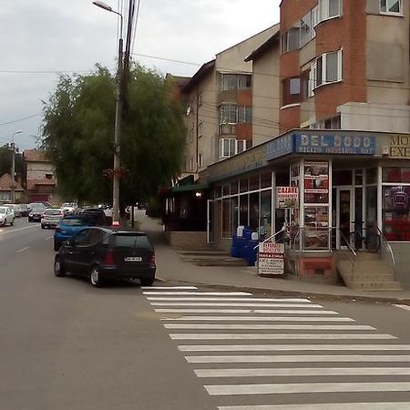 Garsoniera Del Dodo Apartment Alba Iulia Exterior photo